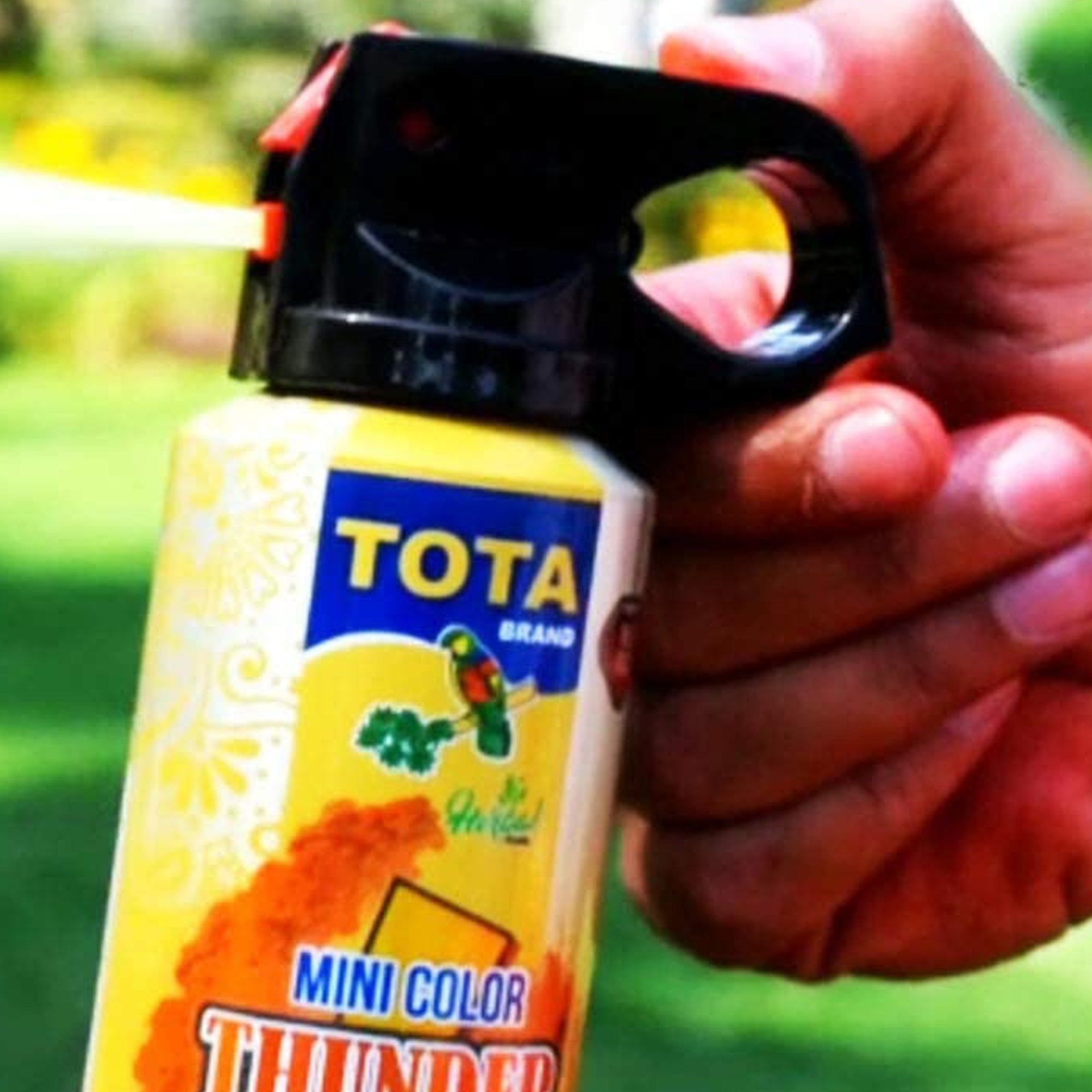 Non-Toxic Eco Friendly Holi Herbal Gulal Spray Bottle, Tota Mini Thunder Holi Herbal Gulal 4 - BOTTLES