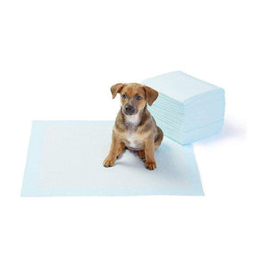 PRINT BHARAT Litter Pads for Dogs and Puppies Toilet Training Pads - Medium/50 Sheets (45 x 60cm)