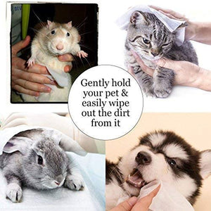 PRINT BHARAT Wet Pet Wipes for Dogs, Puppies & Pets with Fresh Lavender Scent 6"x 8" - Pack of 100 Wipes
